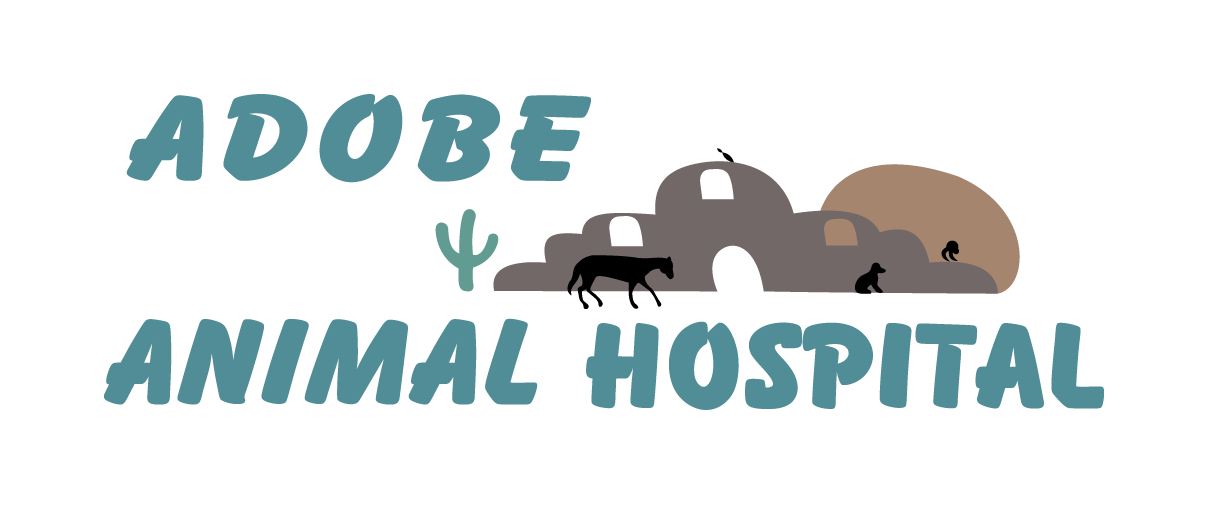 Best Vet Clinic In El Paso, TX | Adobe Animal Hospital And Clinic