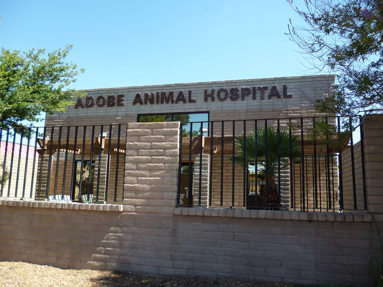 adobe animal hospital and clinic