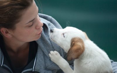 5 Easy Ways to Show Your Pet Some Love