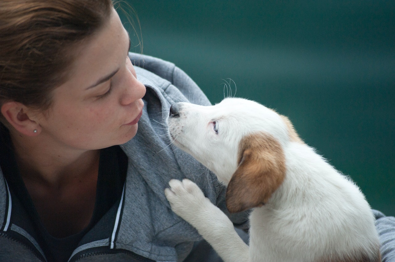 Ways to Show Your Pet the Love