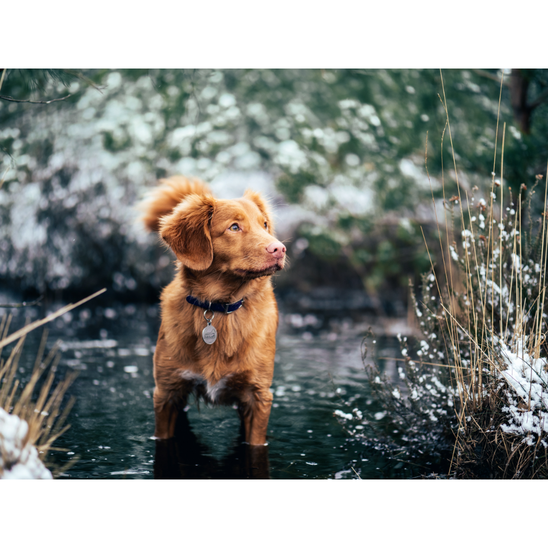 jamie-street-KEZPsHLGBbA-unsplash