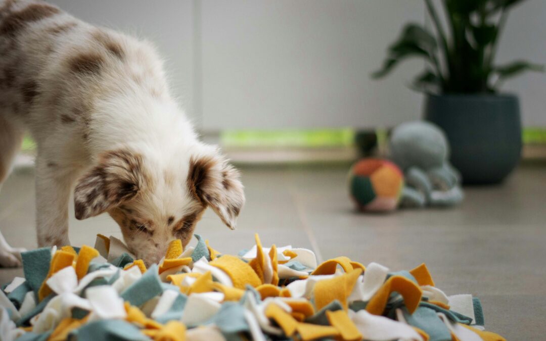 Shield Your Home: Safeguarding Pets from Everyday Household Toxins
